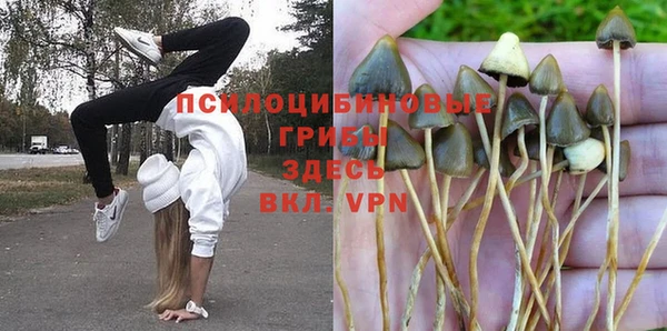 прущая мука Верхний Тагил