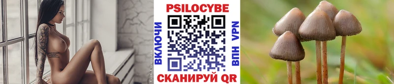 мориарти состав  Камышлов  Галлюциногенные грибы Magic Shrooms  мега вход 